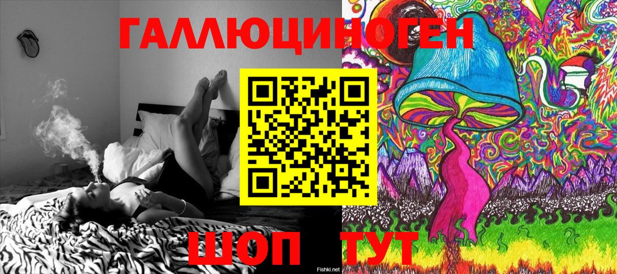 Псилоцибиновые грибы Psilocybine cubensis Пушкино